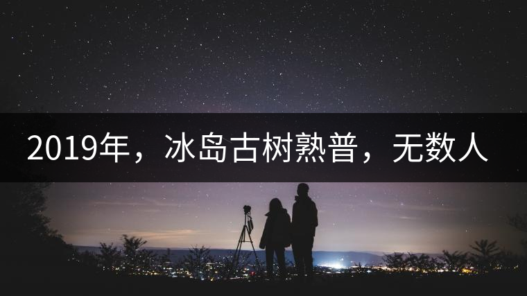 2019年，冰島古樹熟普，無數(shù)人在尋找