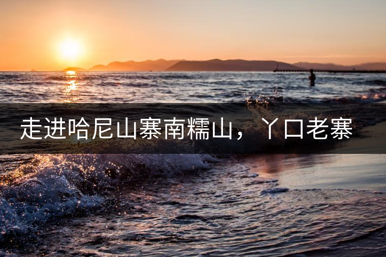 走進(jìn)哈尼山寨南糯山，丫口老寨普洱茶特點(diǎn)