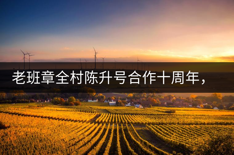 老班章全村陳升號合作十周年，贈送千兩百家茶