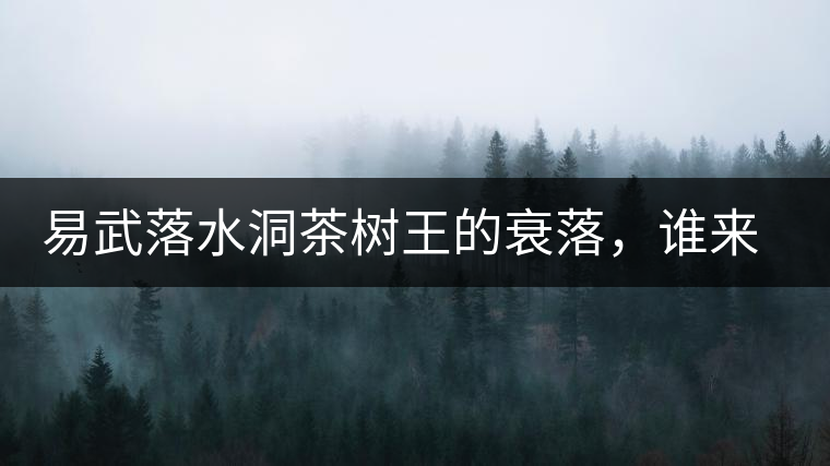 易武落水洞茶樹王的衰落，誰來關(guān)注古樹茶？