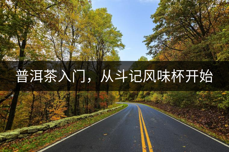 普洱茶入門，從斗記風(fēng)味杯開始