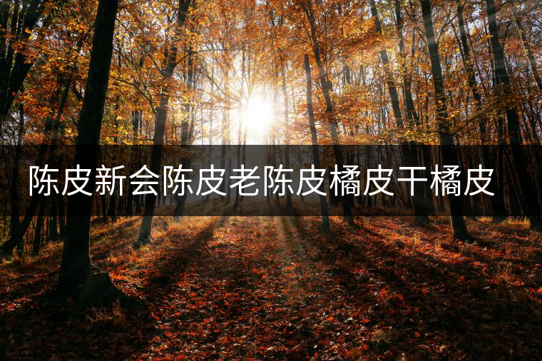 陳皮新會陳皮老陳皮橘皮干橘皮薏米茶非特級罐裝可配普洱白茶黃芪