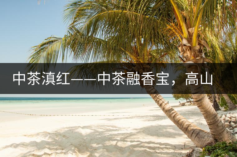 中茶滇紅——中茶融香寶，高山烏龍茶