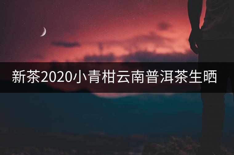 新茶2020小青柑云南普洱茶生曬鮮當(dāng)季正宗新會糯米香散一罐裝250g 新茶2020小青柑云南普洱茶生曬鮮當(dāng)季正宗新會糯米香散一罐裝250g