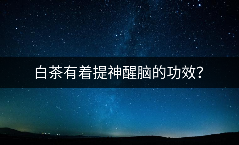 白茶有著提神醒腦的功效？