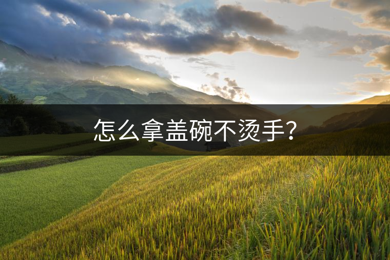 怎么拿蓋碗不燙手？