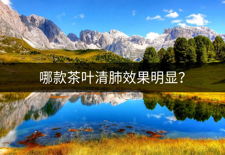 哪款茶葉清肺效果明顯？