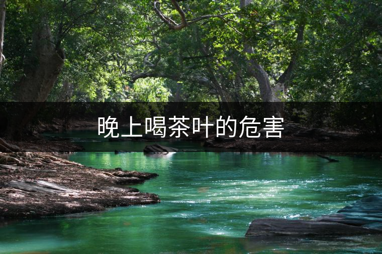 晚上喝茶葉的危害 晚上喝茶葉的危害