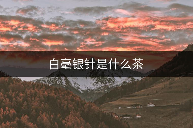 白毫銀針是什么茶 白毫銀針是什么茶