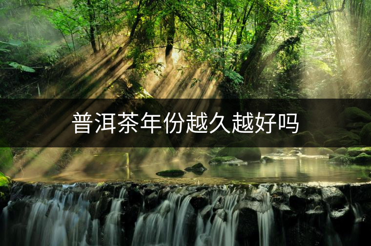 普洱茶年份越久越好嗎 普洱茶年份越久越好嗎