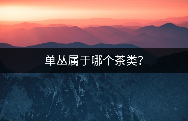 單叢屬于哪個(gè)茶類？