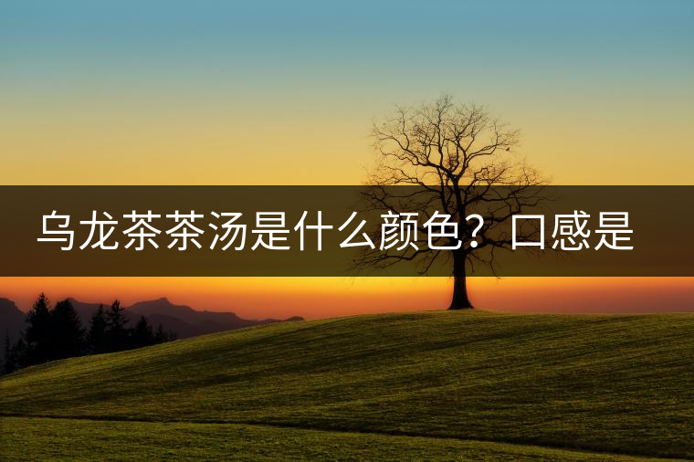 烏龍茶茶湯是什么顏色？口感是什么？