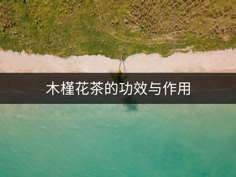 木槿花茶的功效與作用