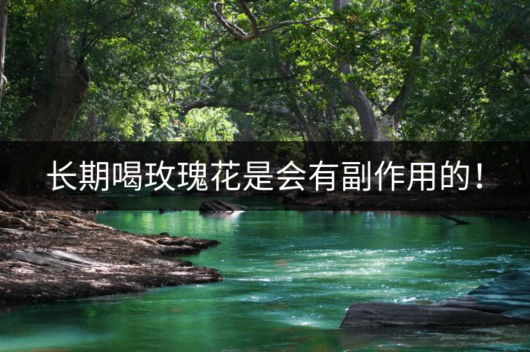 長(zhǎng)期喝玫瑰花是會(huì)有副作用的！