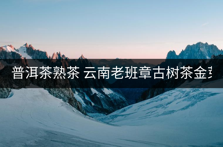 普洱茶熟茶 云南老班章古樹茶金芽特級(jí)熟茶357g大餅茶葉 久樽正品