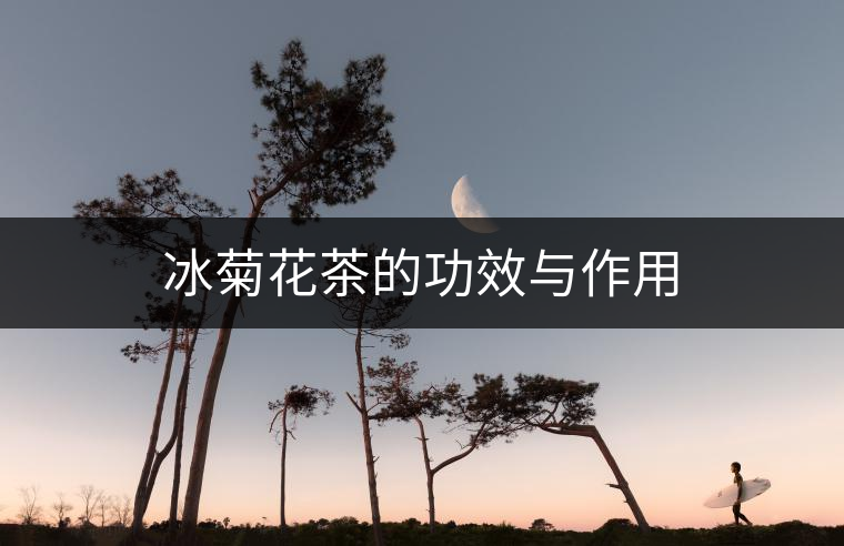 冰菊花茶的功效與作用
