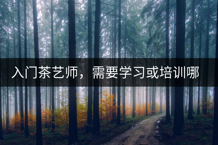 入門茶藝師，需要學習或培訓(xùn)哪些知識