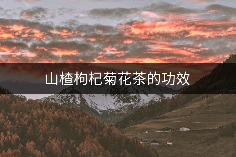 山楂枸杞菊花茶的功效 山楂枸杞菊花茶的功效