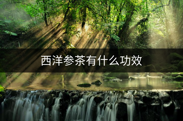 西洋參茶有什么功效 西洋參茶有什么功效