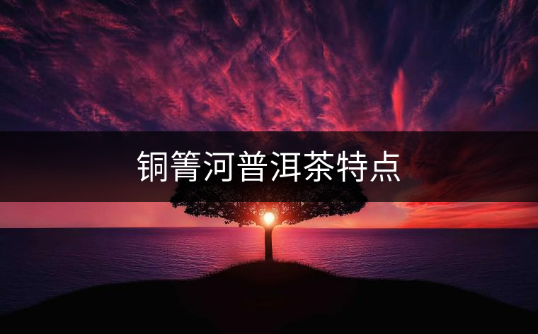 銅箐河普洱茶特點(diǎn)