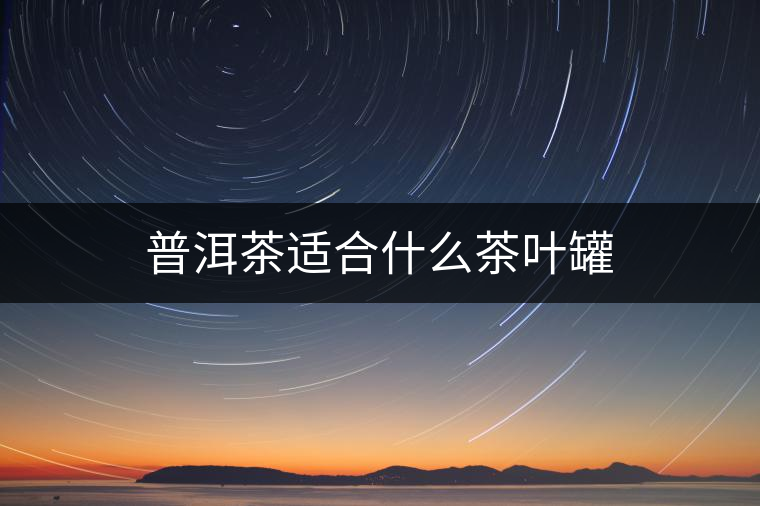 普洱茶適合什么茶葉罐 普洱茶適合什么茶葉罐