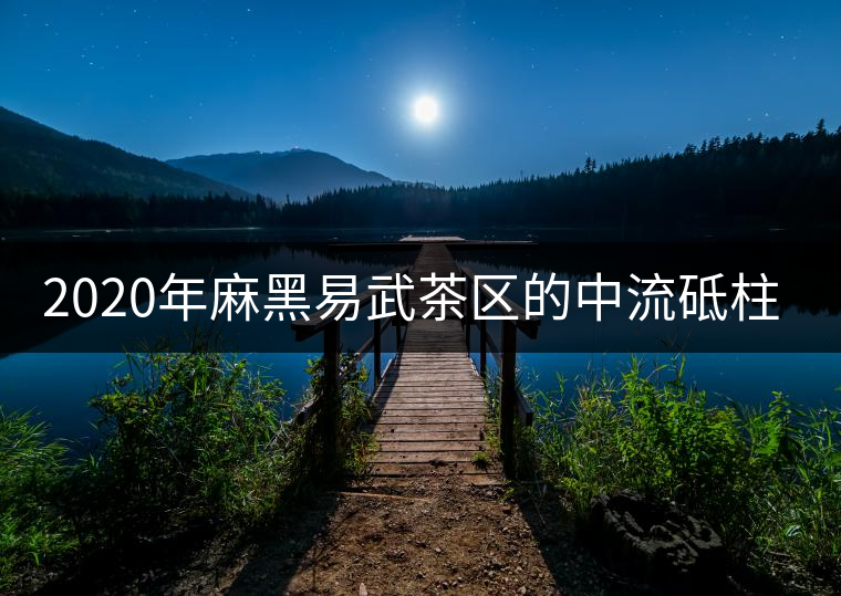 2020年麻黑易武茶區(qū)的中流砥柱-易武中聘號(hào) 2020年麻黑易武茶區(qū)的中流砥柱-易武中聘號(hào)