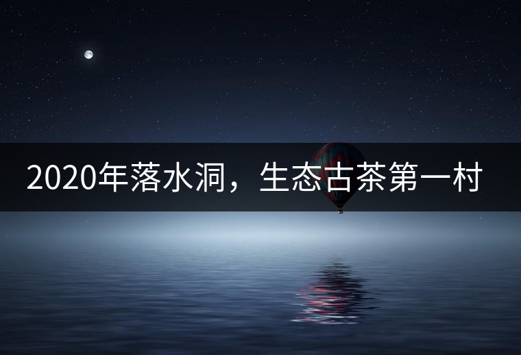2020年落水洞，生態(tài)古茶第一村-易武中聘號