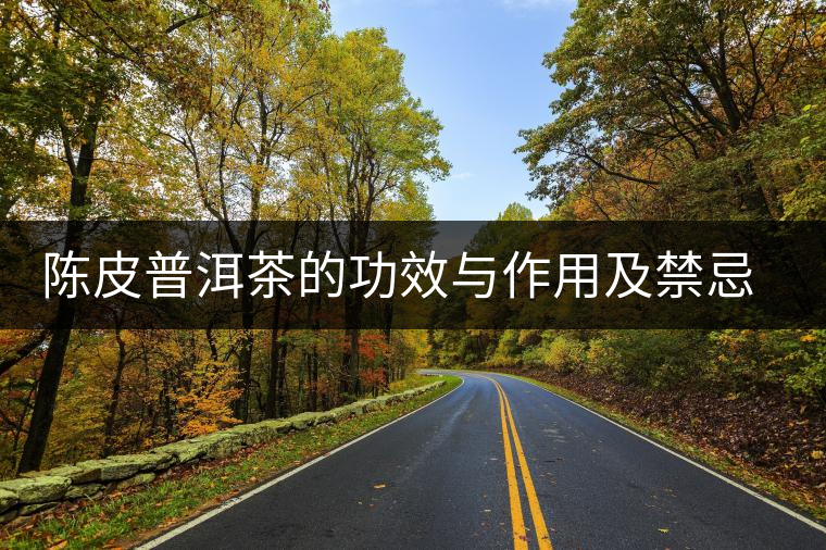 陳皮普洱茶的功效與作用及禁忌癥 陳皮普洱茶的功效與作用及禁忌癥