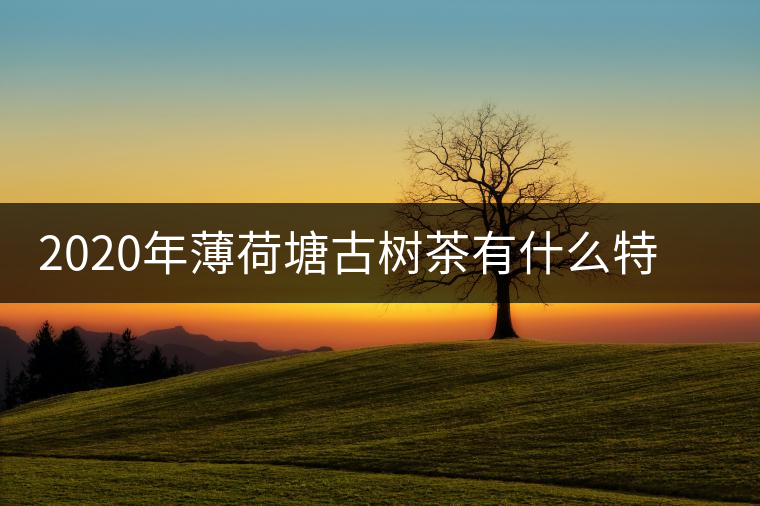 2020年薄荷塘古樹茶有什么特征？薄荷塘的價格及產(chǎn)量如何？-易武中聘號