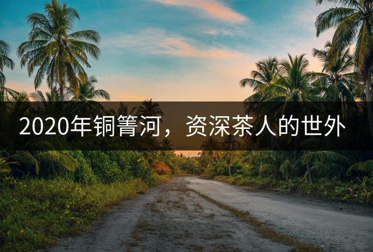 2020年銅箐河，資深茶人的世外桃源-易武-易武中聘號(hào)