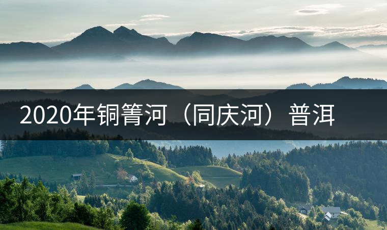 2020年銅箐河（同慶河）普洱茶，野味真難尋！-易武中聘號