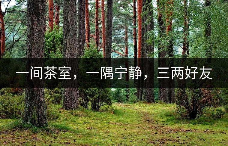 一間茶室，一隅寧靜，三兩好友