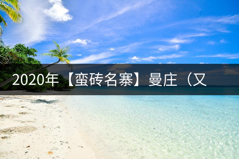 2020年【蠻磚名寨】曼莊（又作：蠻磚、曼磚）-易武中聘號(hào)