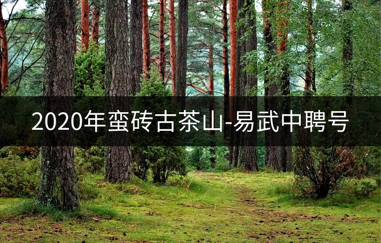 2020年蠻磚古茶山-易武中聘號(hào) 2020年蠻磚古茶山-易武中聘號(hào)