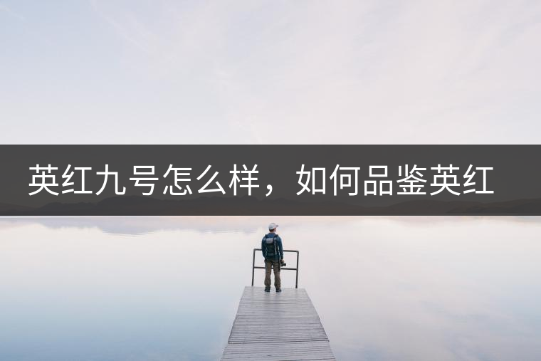 英紅九號怎么樣，如何品鑒英紅九號紅茶