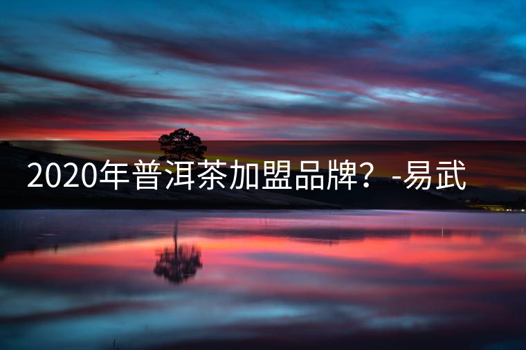 2020年普洱茶加盟品牌？-易武中聘號(hào)