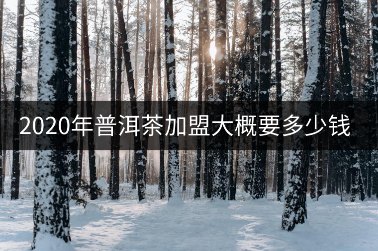 2020年普洱茶加盟大概要多少錢?-易武中聘號 2020年普洱茶加盟大概要多少錢?-易武中聘號