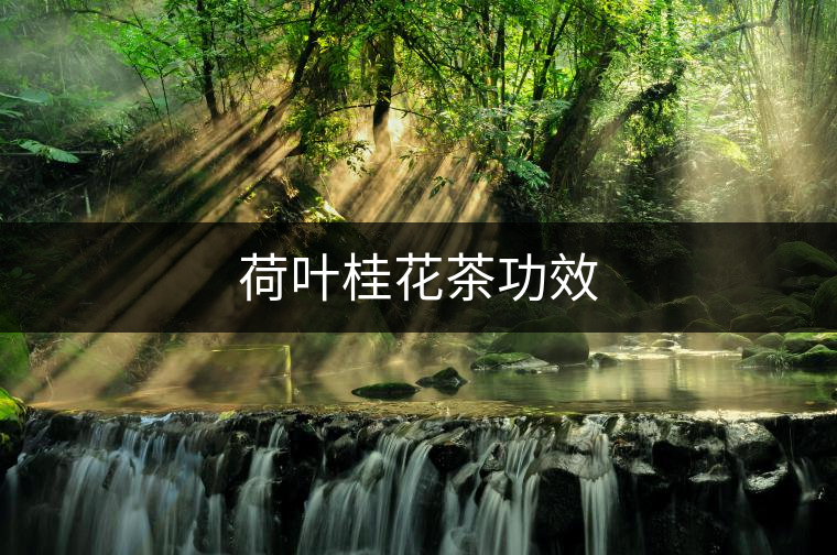 荷葉桂花茶功效