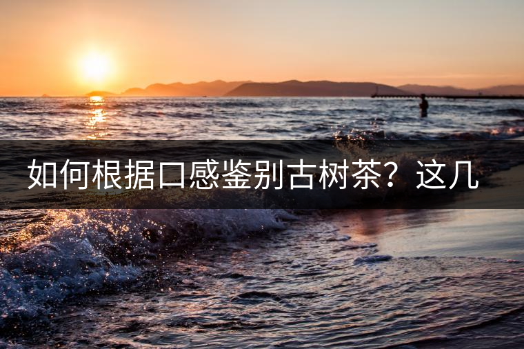 如何根據(jù)口感鑒別古樹(shù)茶？這幾個(gè)技巧值得收藏