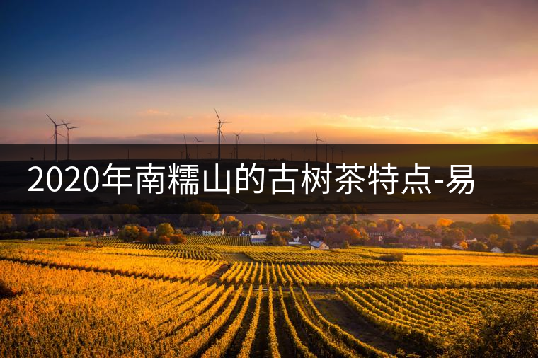 2020年南糯山的古樹(shù)茶特點(diǎn)-易武中聘號(hào) 2020年南糯山的古樹(shù)茶特點(diǎn)-易武中聘號(hào)