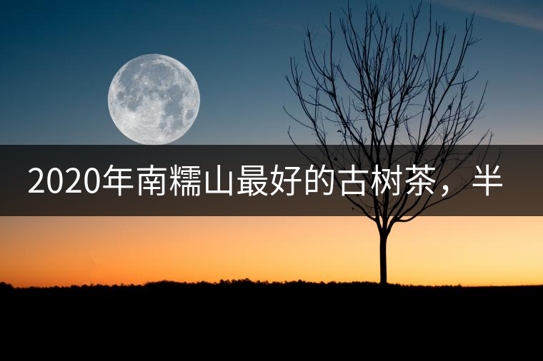 2020年南糯山最好的古樹茶，半坡老寨！-易武中聘號(hào)
