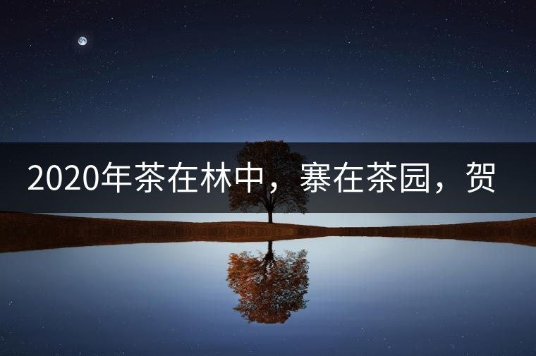 2020年茶在林中，寨在茶園，賀開古樹茶-易武中聘號
