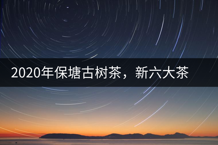 2020年保塘古樹(shù)茶，新六大茶山之勐宋茶佼佼者-易武中聘號(hào)