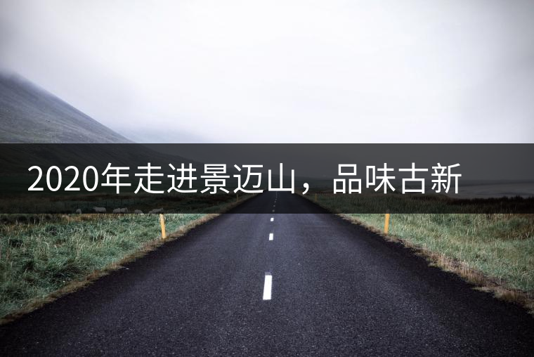 2020年走進(jìn)景邁山，品味古新六大茶山古樹茶之韻-易武中聘號(hào)