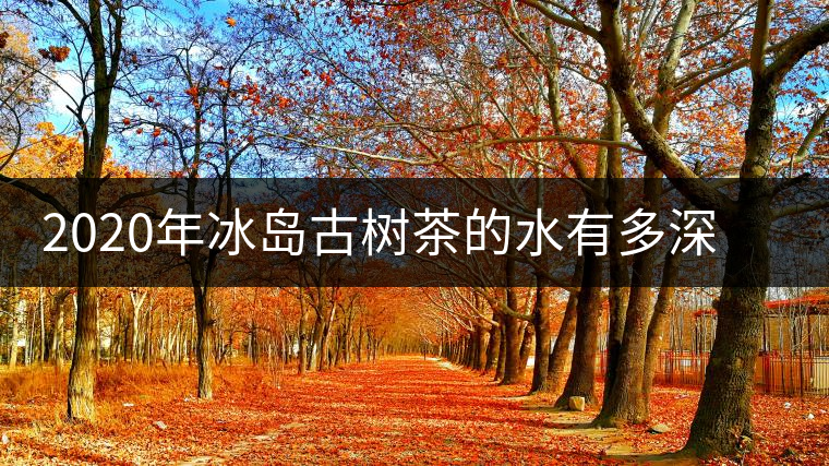 2020年冰島古樹茶的水有多深？別被蒙在鼓里啦-易武中聘號