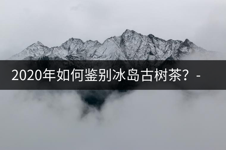 2020年如何鑒別冰島古樹茶？-易武中聘號