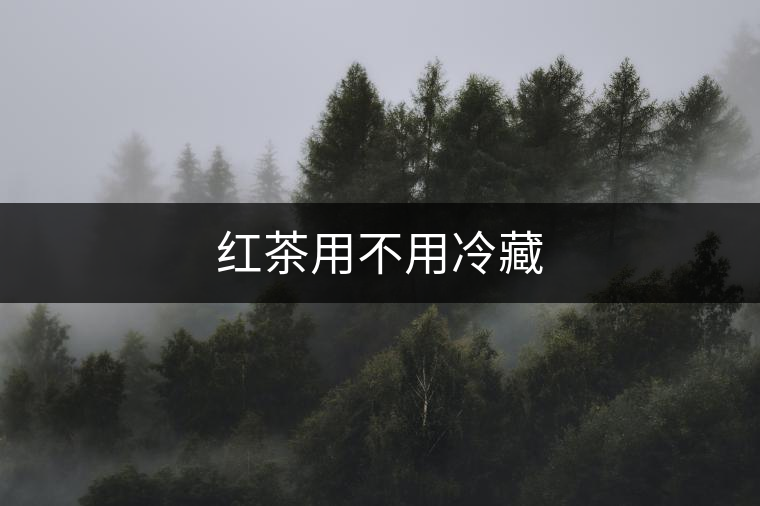 紅茶用不用冷藏 紅茶用不用冷藏
