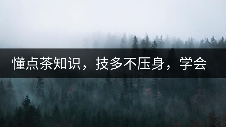 懂點茶知識，技多不壓身，學會這些秒變茶藝高手