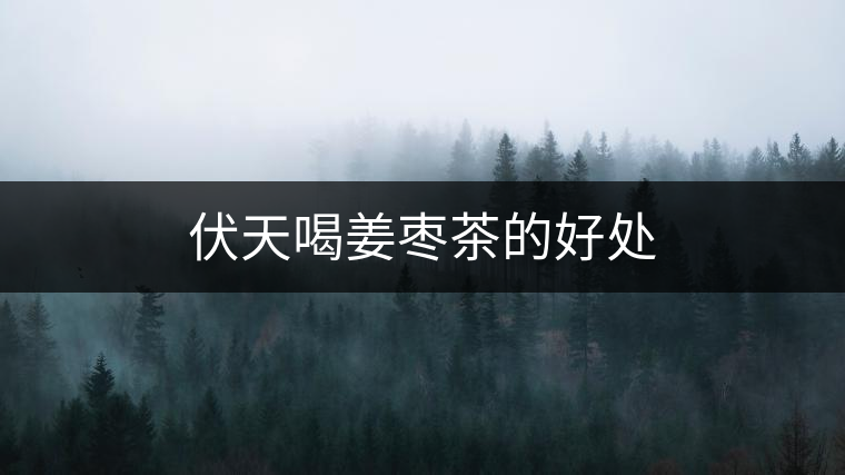 伏天喝姜棗茶的好處 伏天喝姜棗茶的好處