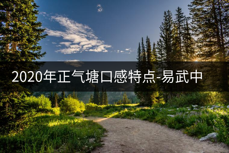 2020年正氣塘口感特點(diǎn)-易武中聘號(hào) 2020年正氣塘口感特點(diǎn)-易武中聘號(hào)